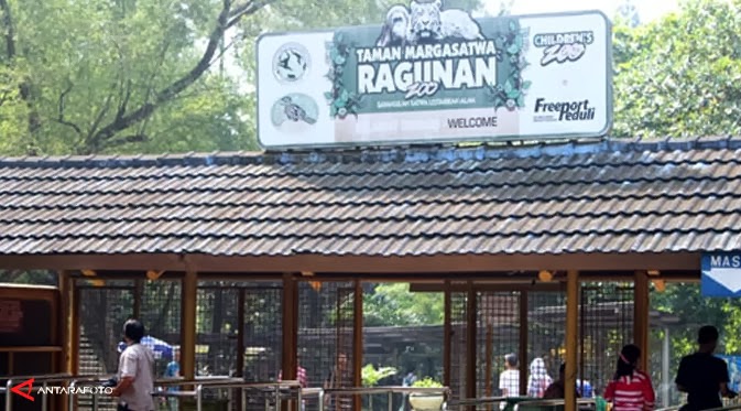 Taman Margasatwa Ragunan, Konservasi yang Terabaikan