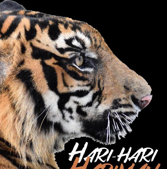 Hari-Hari Harimau